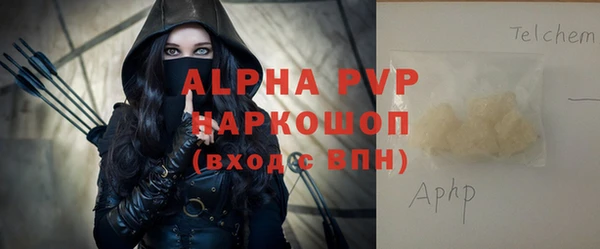 прущие грибы Михайловск