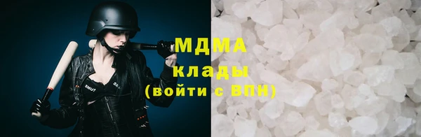 прущие грибы Михайловск