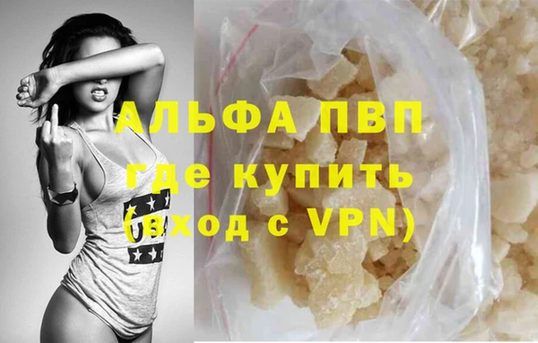 сатива Архангельск