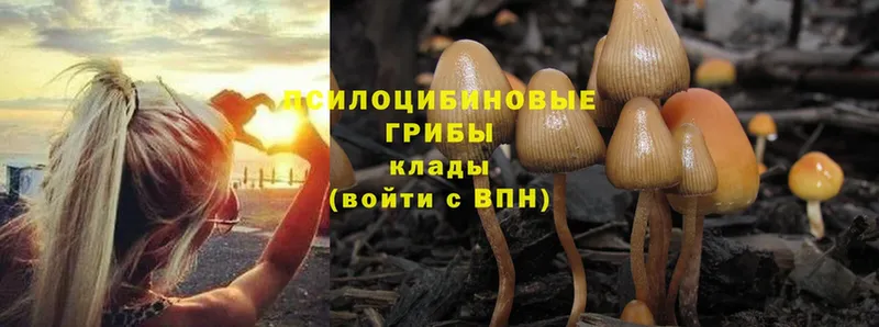 маркетплейс официальный сайт  Тюмень  Галлюциногенные грибы Cubensis 