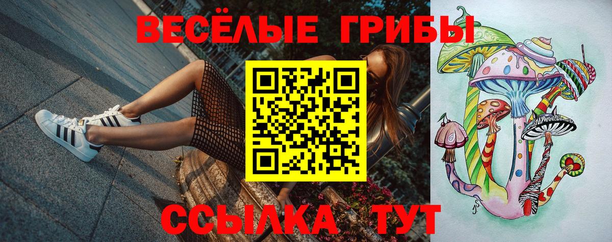 наркота  Вход с VPN  Тюмень  Псилоцибиновые грибы Cubensis 